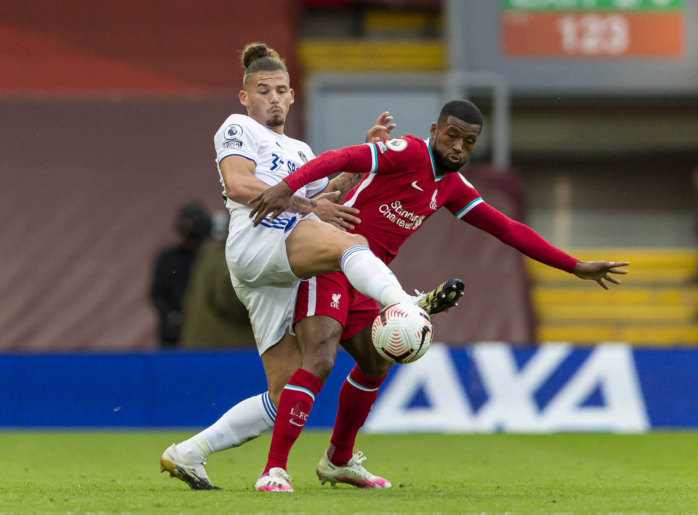 己的节奏 己的节奏